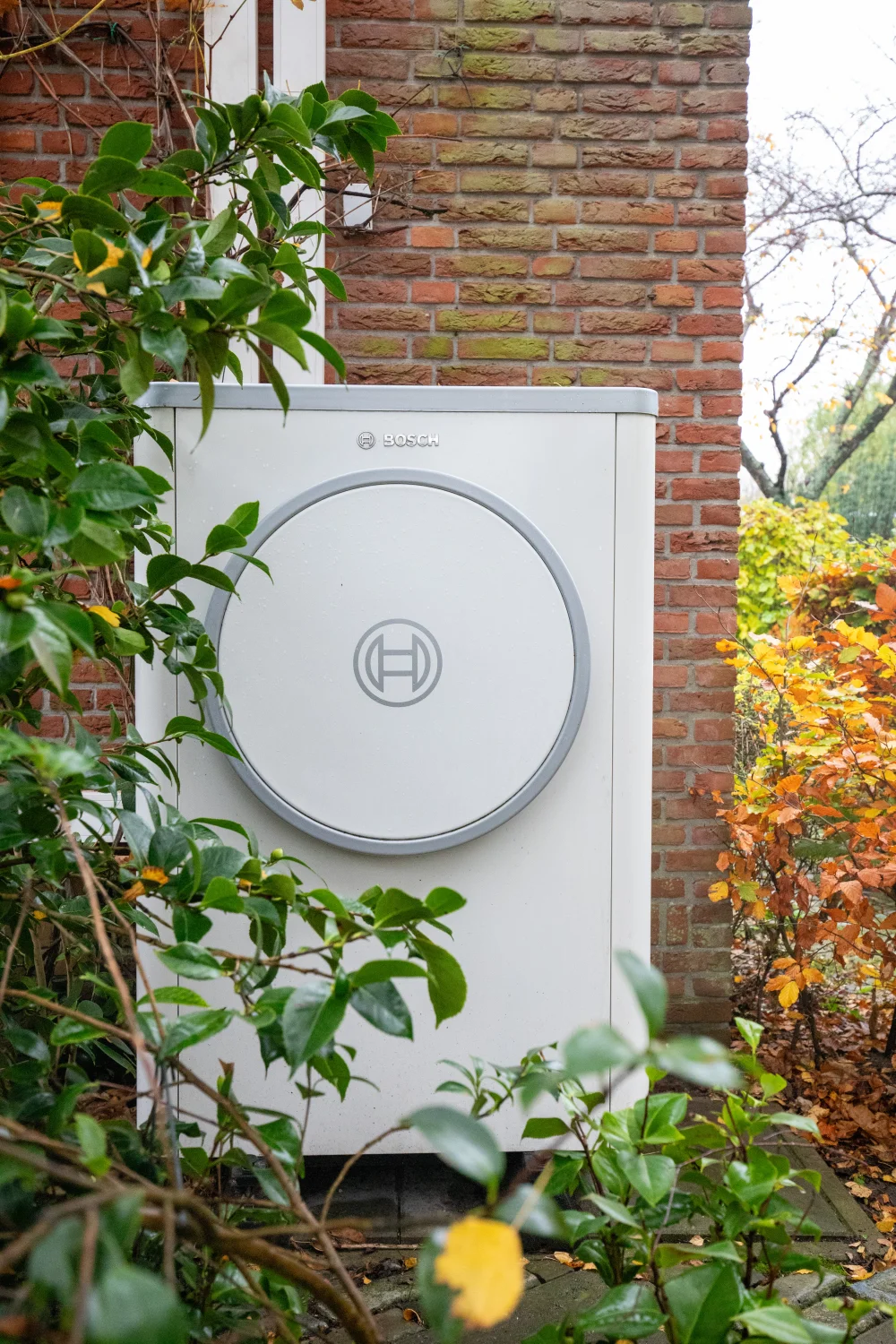 zonnepanelen